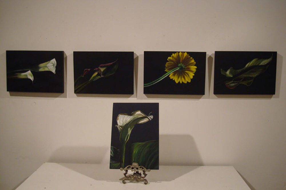 Luci della Natura II - immagine 2